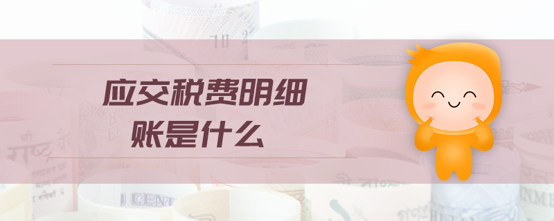 應(yīng)交稅費(fèi)明細(xì)賬是什么