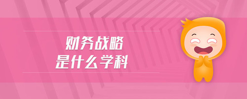 財務(wù)戰(zhàn)略是什么學科