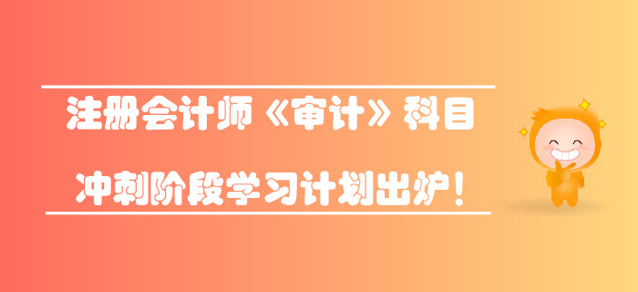 2019年注冊(cè)會(huì)計(jì)師《審計(jì)》科目沖刺階段學(xué)習(xí)計(jì)劃