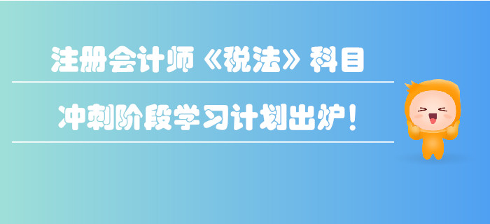 2019年注冊會計師《稅法》科目沖刺階段學習計劃