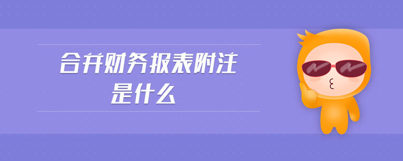 合并財務(wù)報表附注是什么