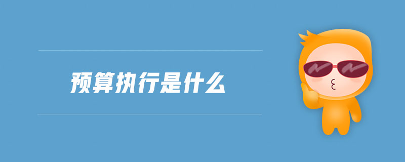 預算執(zhí)行是什么