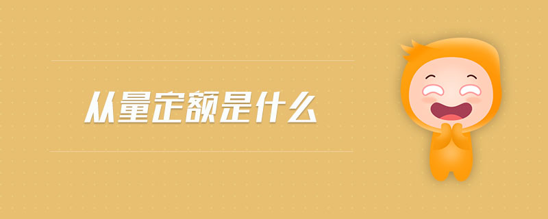 從量定額是什么 從量定額是什么