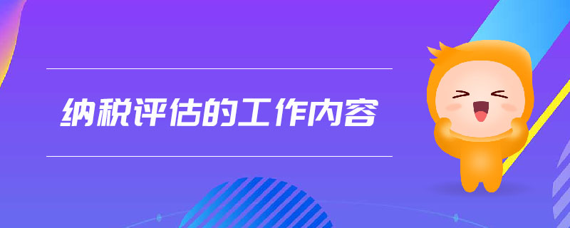 納稅評(píng)估的工作內(nèi)容
