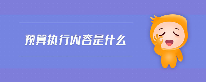 預算執(zhí)行內容是什么