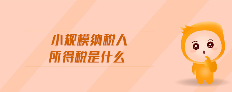 小規(guī)模納稅人所得稅是什么 小規(guī)模納稅人所得稅是什么