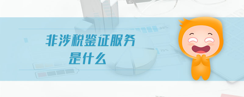 非涉稅鑒證服務(wù)是什么