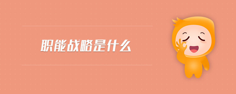 職能戰(zhàn)略是什么