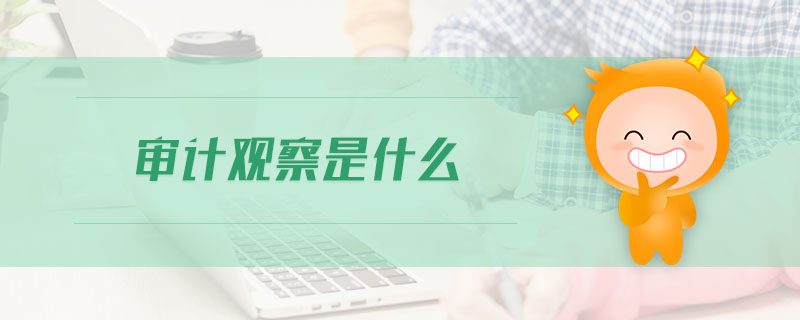 審計(jì)觀察是什么