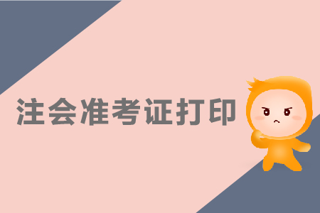 2019年注會(huì)準(zhǔn)考證樣板是什么樣的？