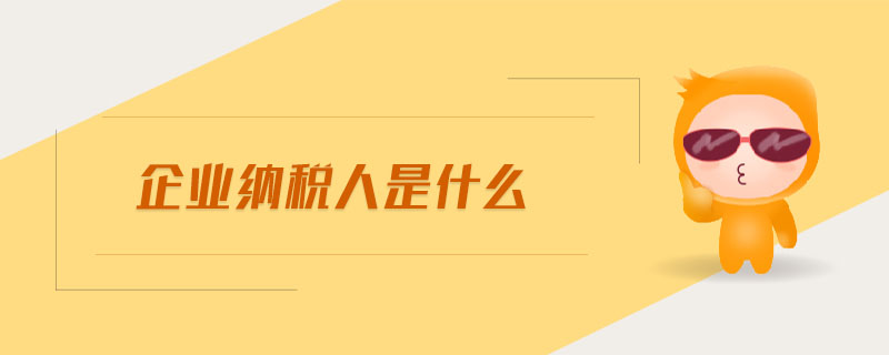 企業(yè)納稅人是什么 企業(yè)納稅人是什么