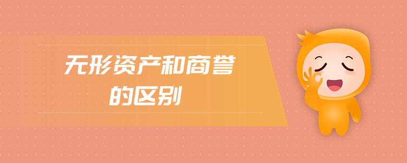 無形資產(chǎn)和商譽(yù)的區(qū)別