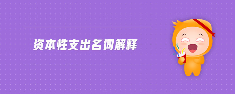 資本性支出名詞解釋 資本性支出名詞解釋