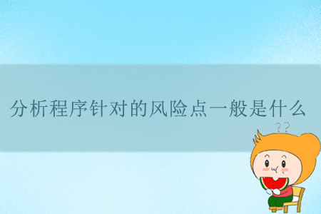 分析程序針對(duì)的風(fēng)險(xiǎn)點(diǎn)一般是什么？