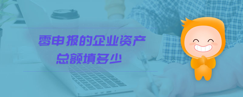 零申報的企業(yè)資產(chǎn)總額填多少