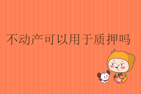 不動產(chǎn)可以用于質(zhì)押嗎？