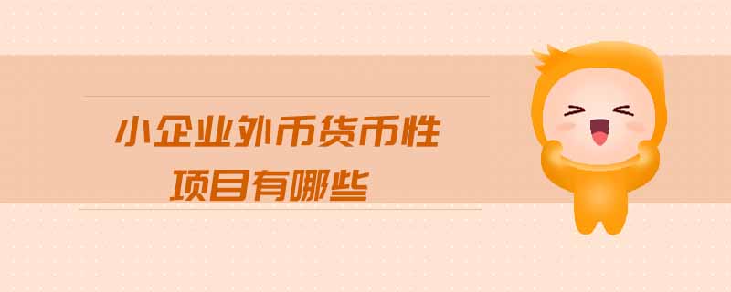 小企業(yè)外幣貨幣性項(xiàng)目有哪些 小企業(yè)外幣貨幣性項(xiàng)目有哪些