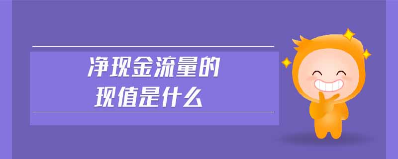 凈現(xiàn)金流量的現(xiàn)值是什么