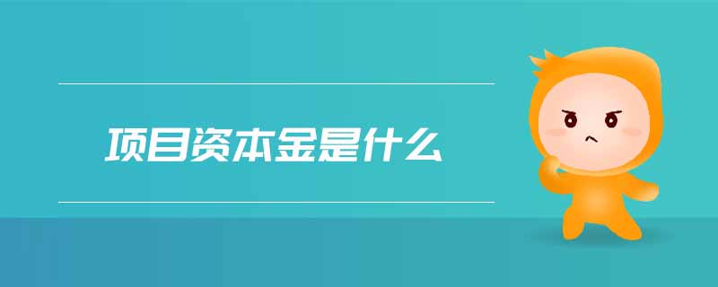 項目資本金是什么