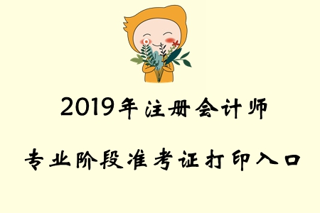2019年青海注冊會計師專業(yè)階段準(zhǔn)考證打印入口已開通