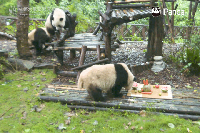 國(guó)寶過中秋