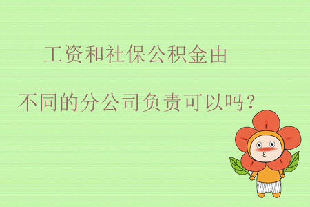 工資和社保公積金由不同的分公司負責可以嗎？