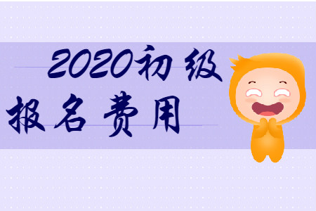 山東省2020年初級(jí)會(huì)計(jì)師報(bào)名費(fèi)是多少？