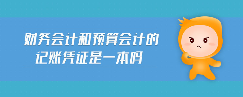財務會計和預算會計的記賬憑證是一本嗎 財務會計和預算會計的記賬憑證是一本嗎