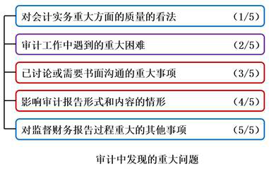 審計中發(fā)現的重大問題
