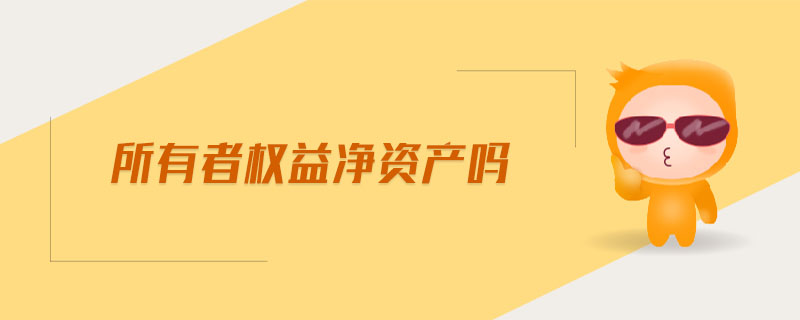 所有者權(quán)益凈資產(chǎn)嗎 所有者權(quán)益凈資產(chǎn)嗎