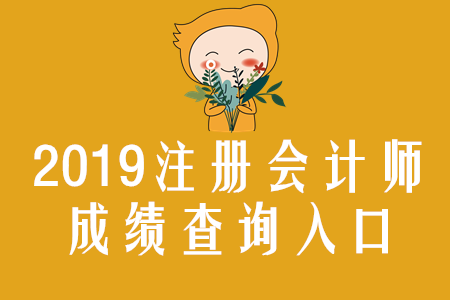 河北2019年注冊會(huì)計(jì)師成績查詢?nèi)肟谝验_通