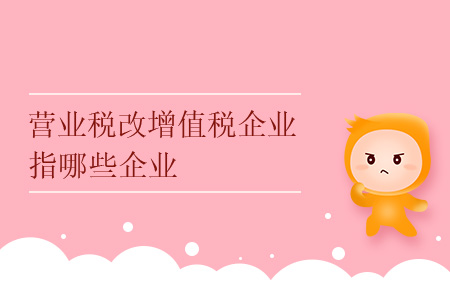 營業(yè)稅改增值稅企業(yè)指哪些企業(yè)？