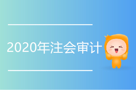 2020年注會審計變化集中在哪個章節(jié)？