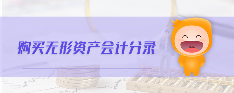 購買無形資產(chǎn)會計分錄 購買無形資產(chǎn)會計分錄