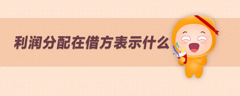 利潤分配在借方表示什么