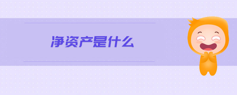 凈資產(chǎn)是什么