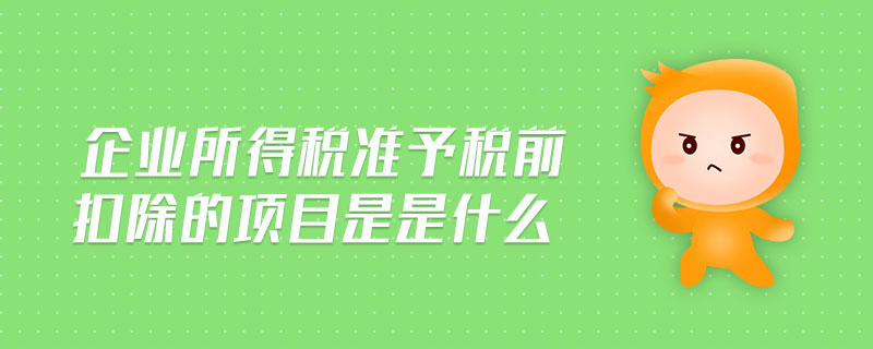 企業(yè)所得稅準(zhǔn)予稅前扣除的項目是是什么