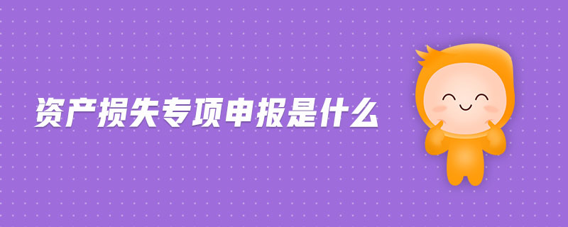 資產損失專項申報是什么