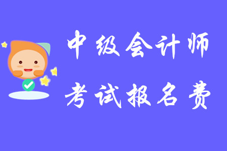 中級(jí)會(huì)計(jì)師考試報(bào)名費(fèi)用上海一科多少錢？