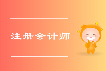 注會(huì)考試2020年考試科目都有什么？