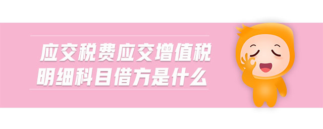 應(yīng)交稅費(fèi)應(yīng)交增值稅明細(xì)科目借方是什么