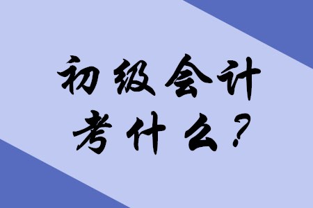 2020年初級會計職稱考試主要考什么內(nèi)容？