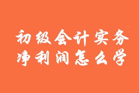 初級會計(jì)實(shí)務(wù)中凈利潤該怎么學(xué)？