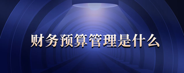 財務(wù)預算管理是什么