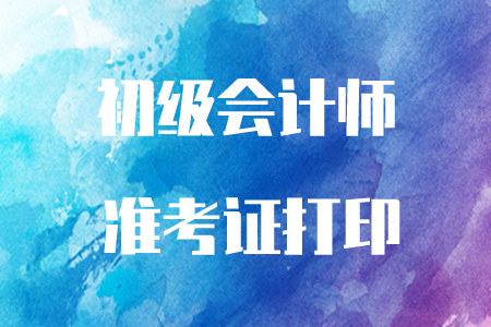 初級(jí)會(huì)計(jì)職稱考試準(zhǔn)考證現(xiàn)在可以打印了嗎？