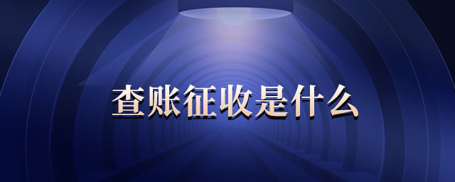 查賬征收是什么 查賬征收是什么