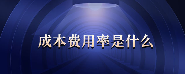成本費用率是什么