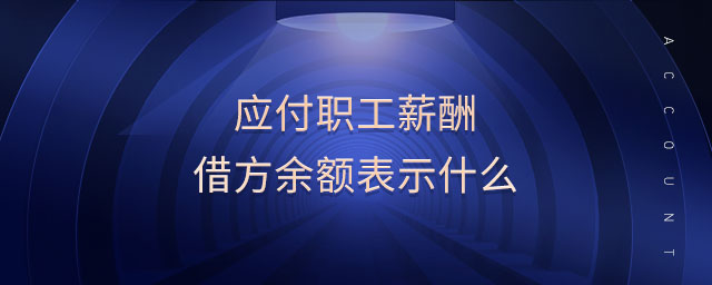 應付職工薪酬借方余額表示什么 應付職工薪酬借方余額表示什么