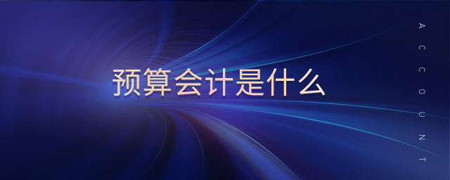 預算會計是什么