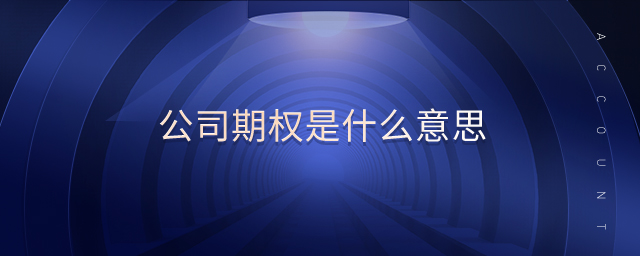 公司期權(quán)是什么意思